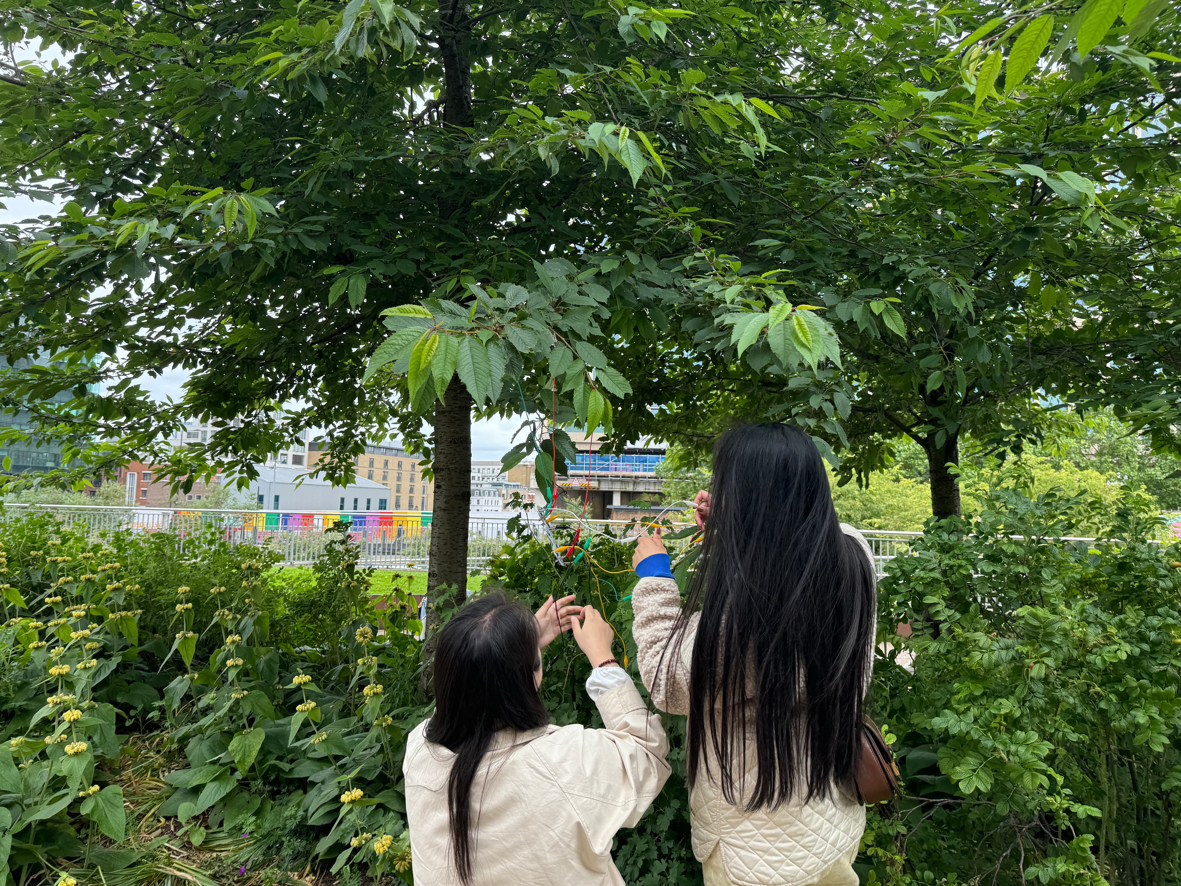 Experiment: Bioelectric Signals and Sounds of Nature — image 3