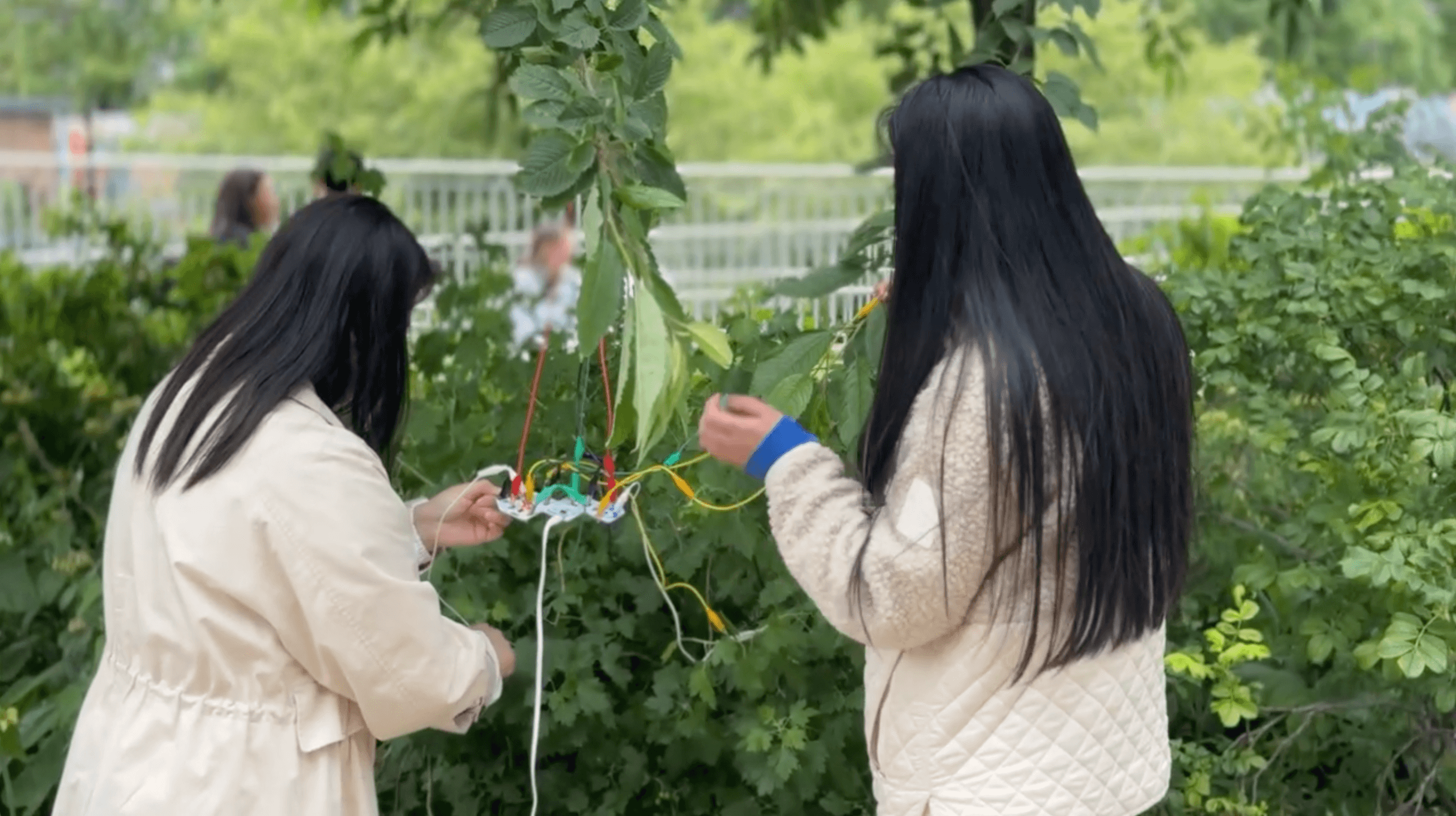 Experiment: Bioelectric Signals and Sounds of Nature